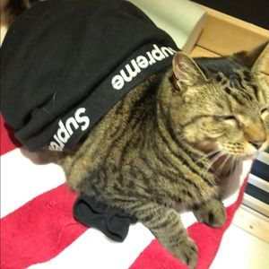 Meet your Posher, Haydeb